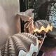 Paire de lampes en céramique nacrée en forme de coquillage, BON DÍA, années 60