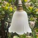 Lamp globe tulip in molded molded glass vintage