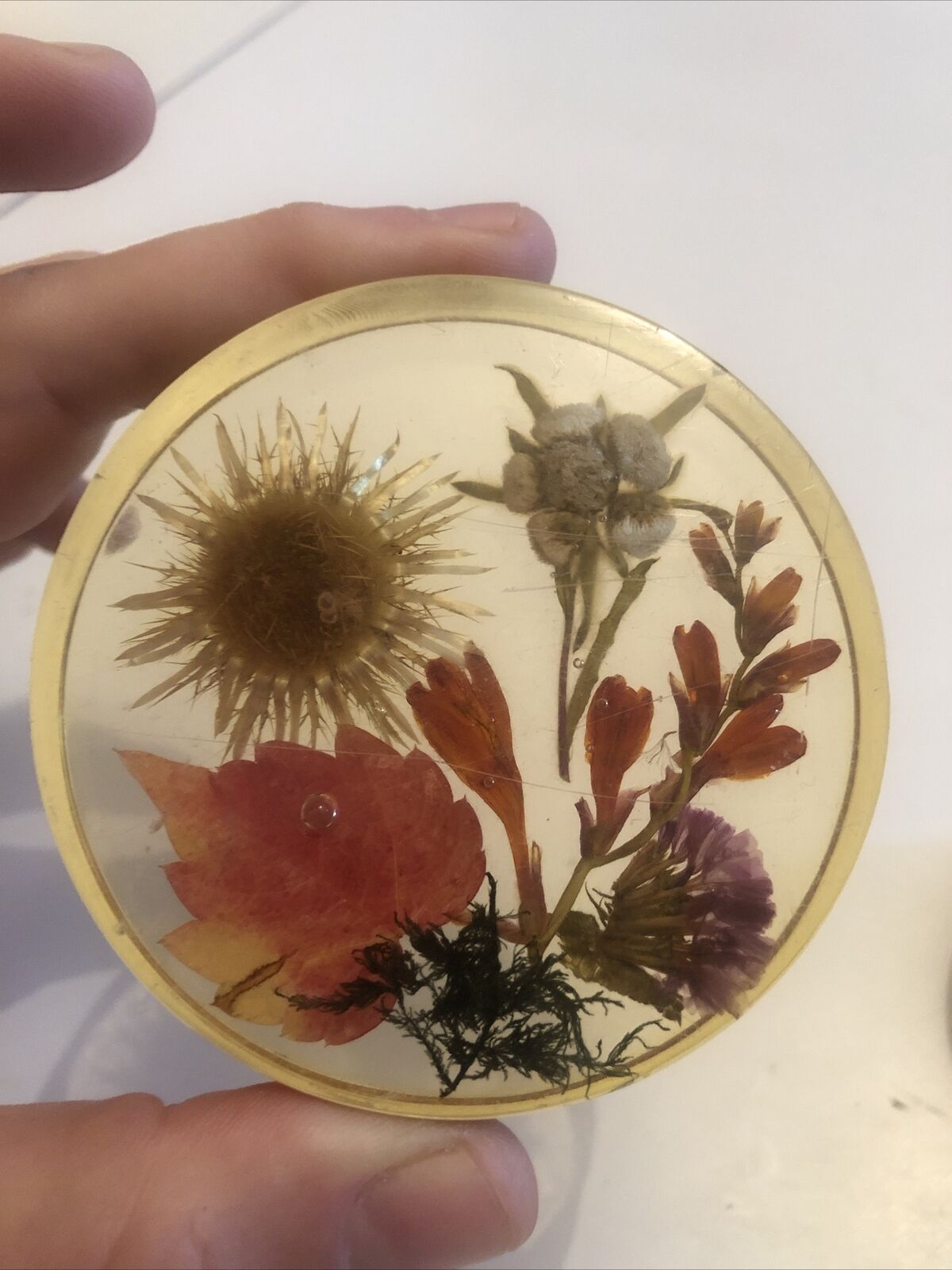 Lot 6 under glass botanical inclusion in resin genuine vintage flowers