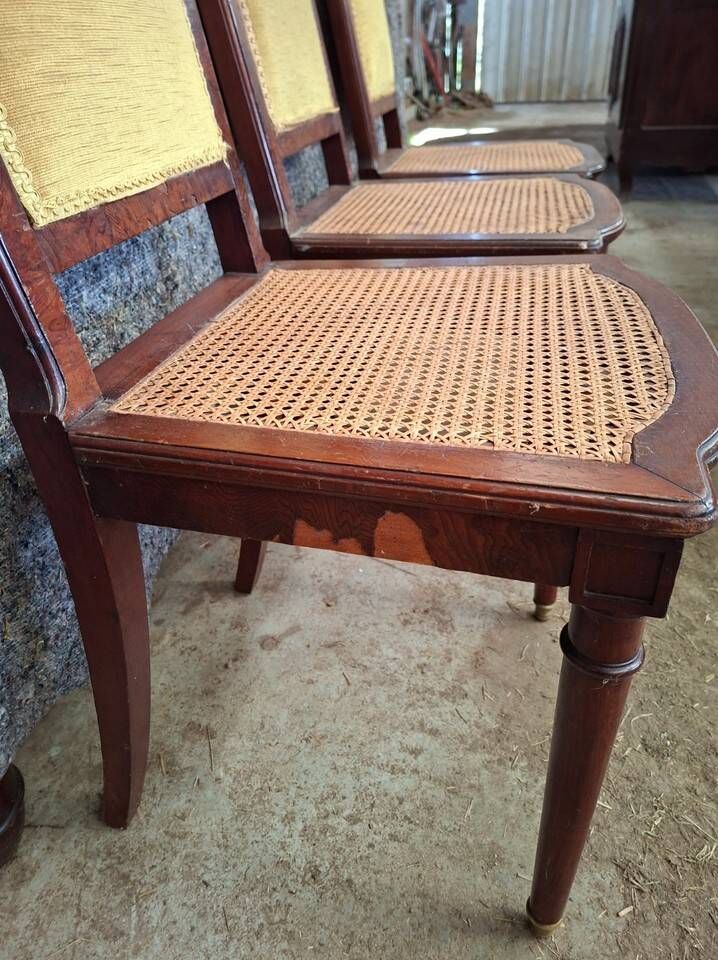 Set of 6 Empire dining chairs – Mahogany, gilded bronze (ombp)