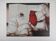 Philippe Augé: Women in white dresses, original signed lithograph