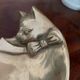 Vide-poche chat en laiton