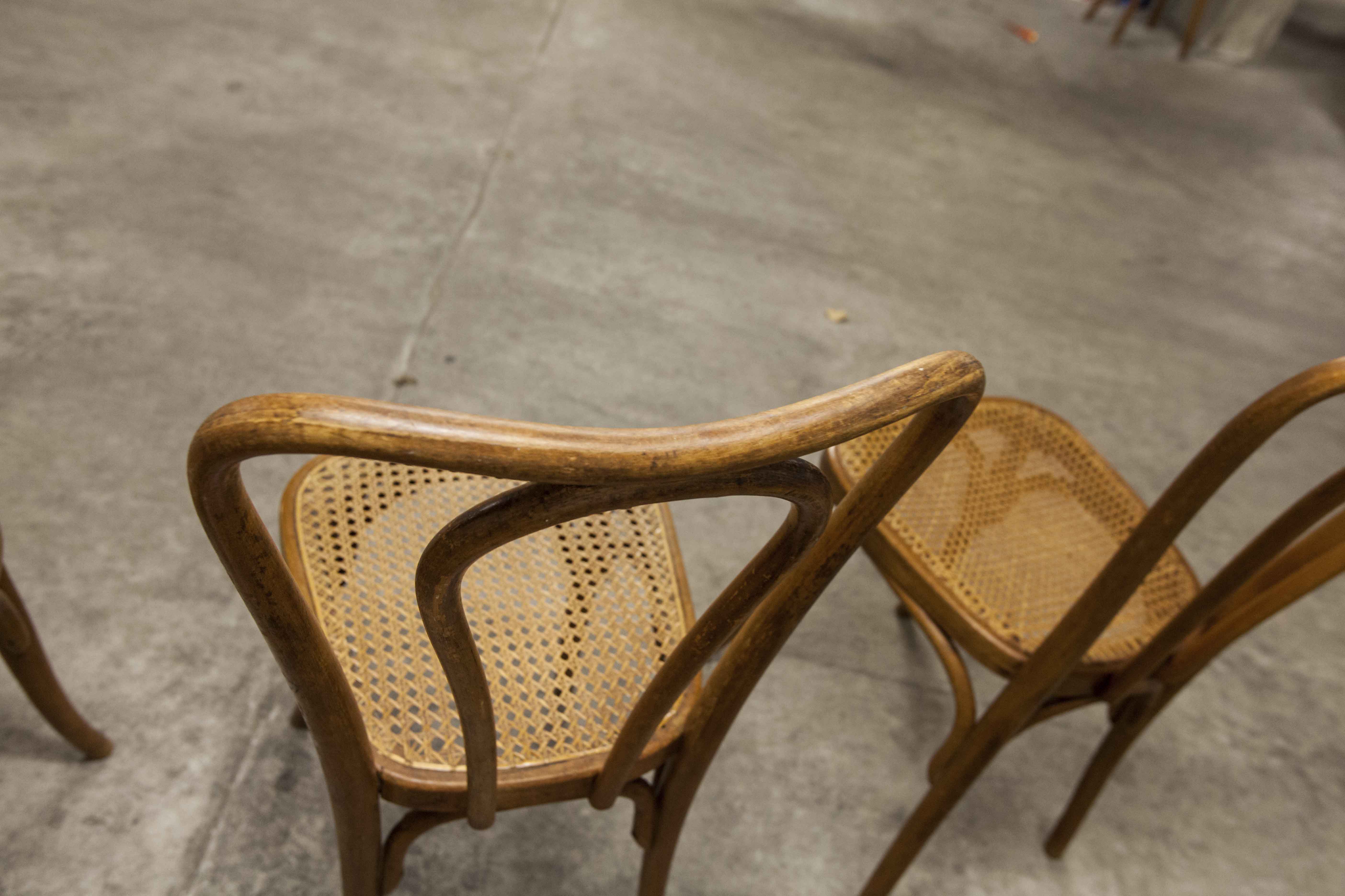 Set of 6 chairs bistro j&j kohn 1900 seat cannage