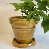 Pot and saucer clarous france pottery