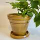 Pot et soucoupe poterie clarous france