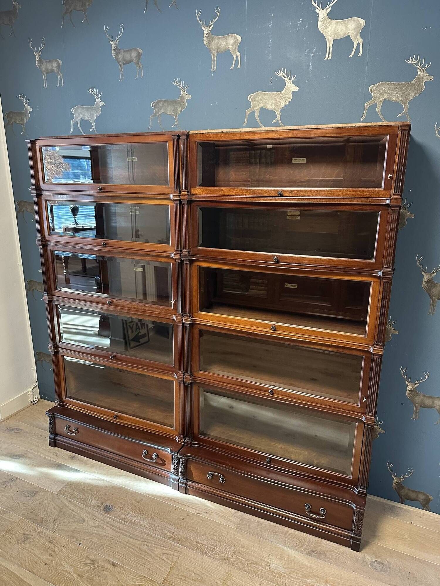 Special Globe Wernicke Bookcase