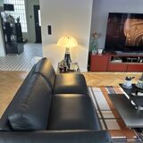 Roche Bobois sofa