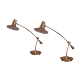 Set of 2 desk or table lamps in brass by Massive Belgium 1980's