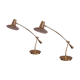 Set of 2 desk or table lamps in brass by Massive Belgium 1980's