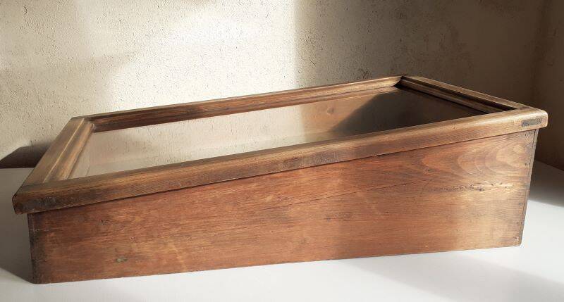 Old sloping pine display case