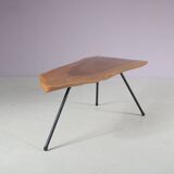 1950s Tree trunk coffee table in Aubock style from Austria