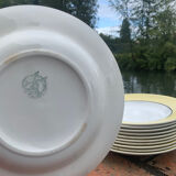 Hollow plates yellow honeycomb - Moulins des loups, Orchies