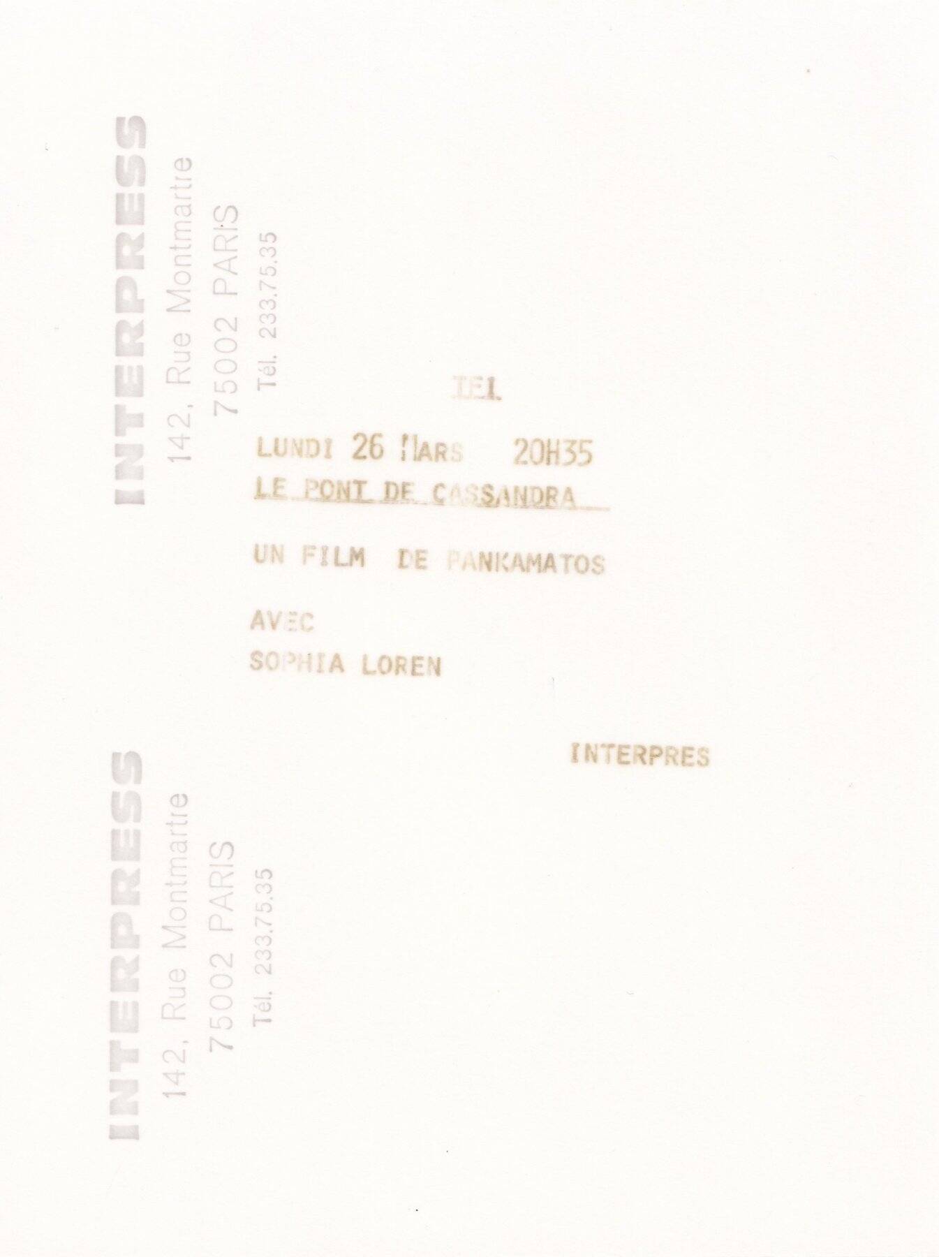 Very beautiful original film photograph Sophia Lauren