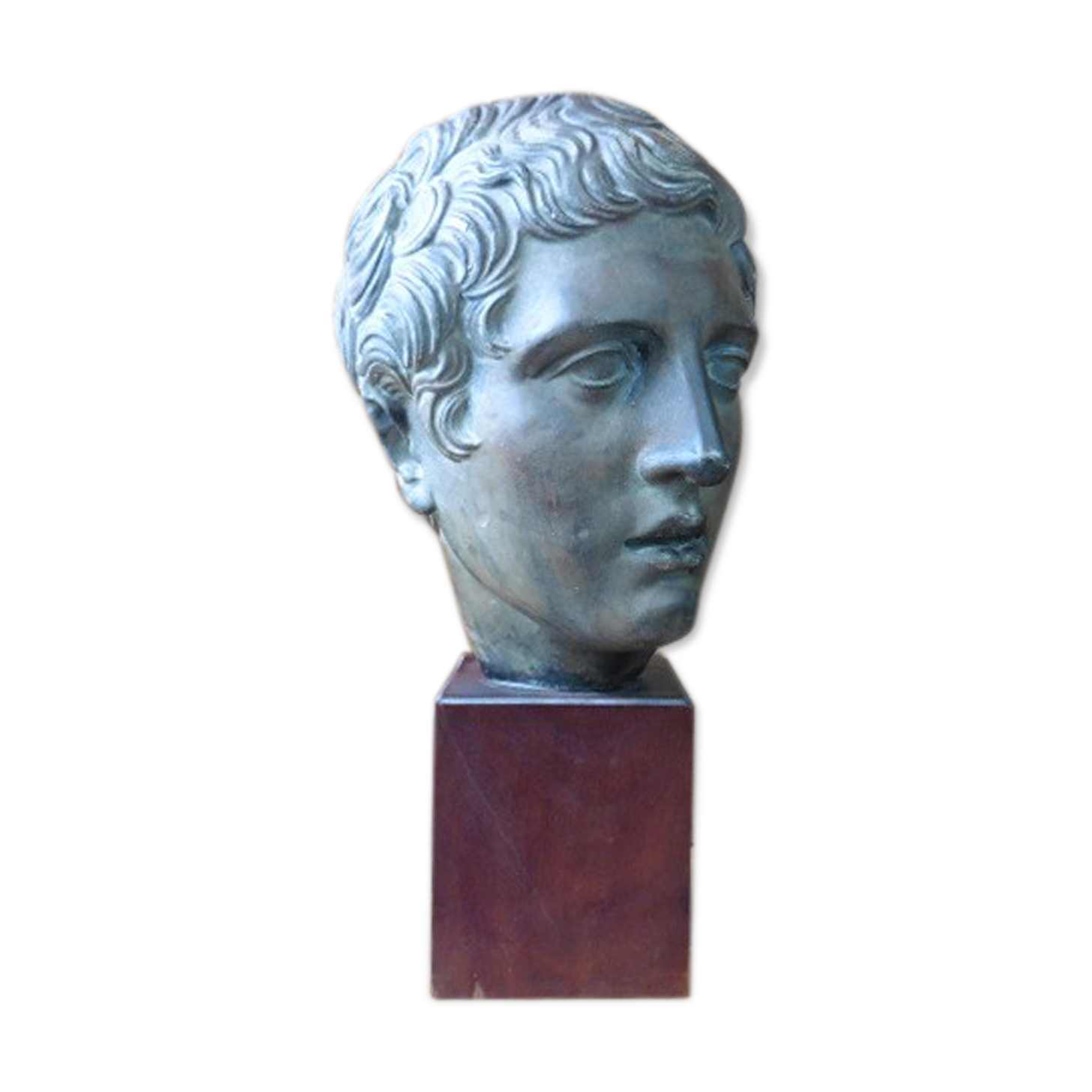 Tête d'Alexandre le Grand en terre cuite sur socle de bois