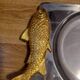 Fish serving dish
