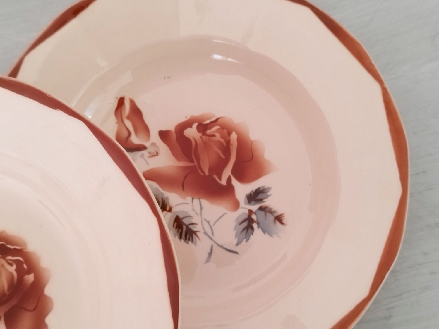 Hollow plates old earthenware Digoin Sarreguemines numbered vintage