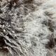 Tibetan lamb cushion