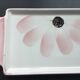 Gien earthenware cake dish, pink flower decoration, 1940s-50s