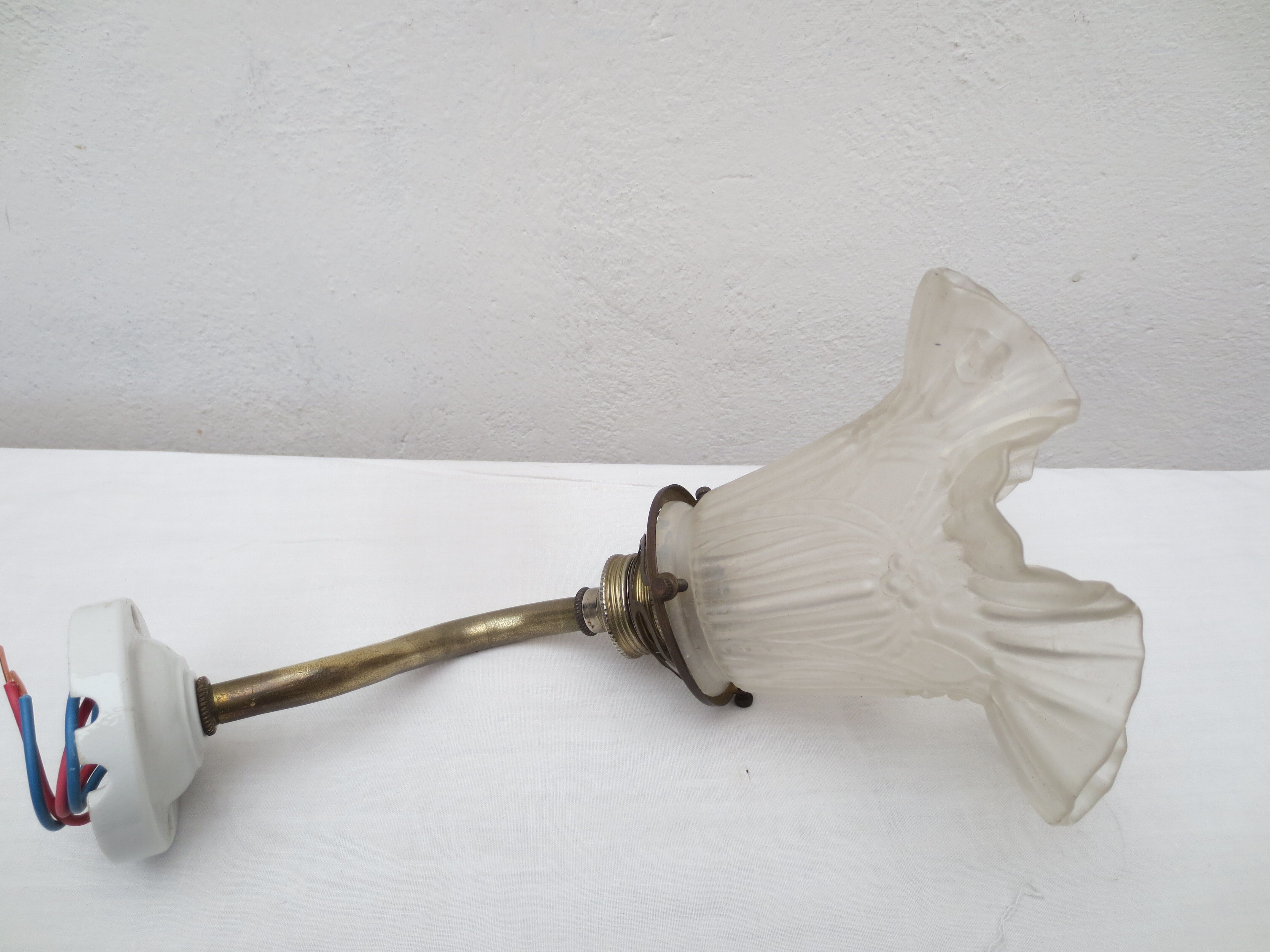 Gooseneck wall light with tulip