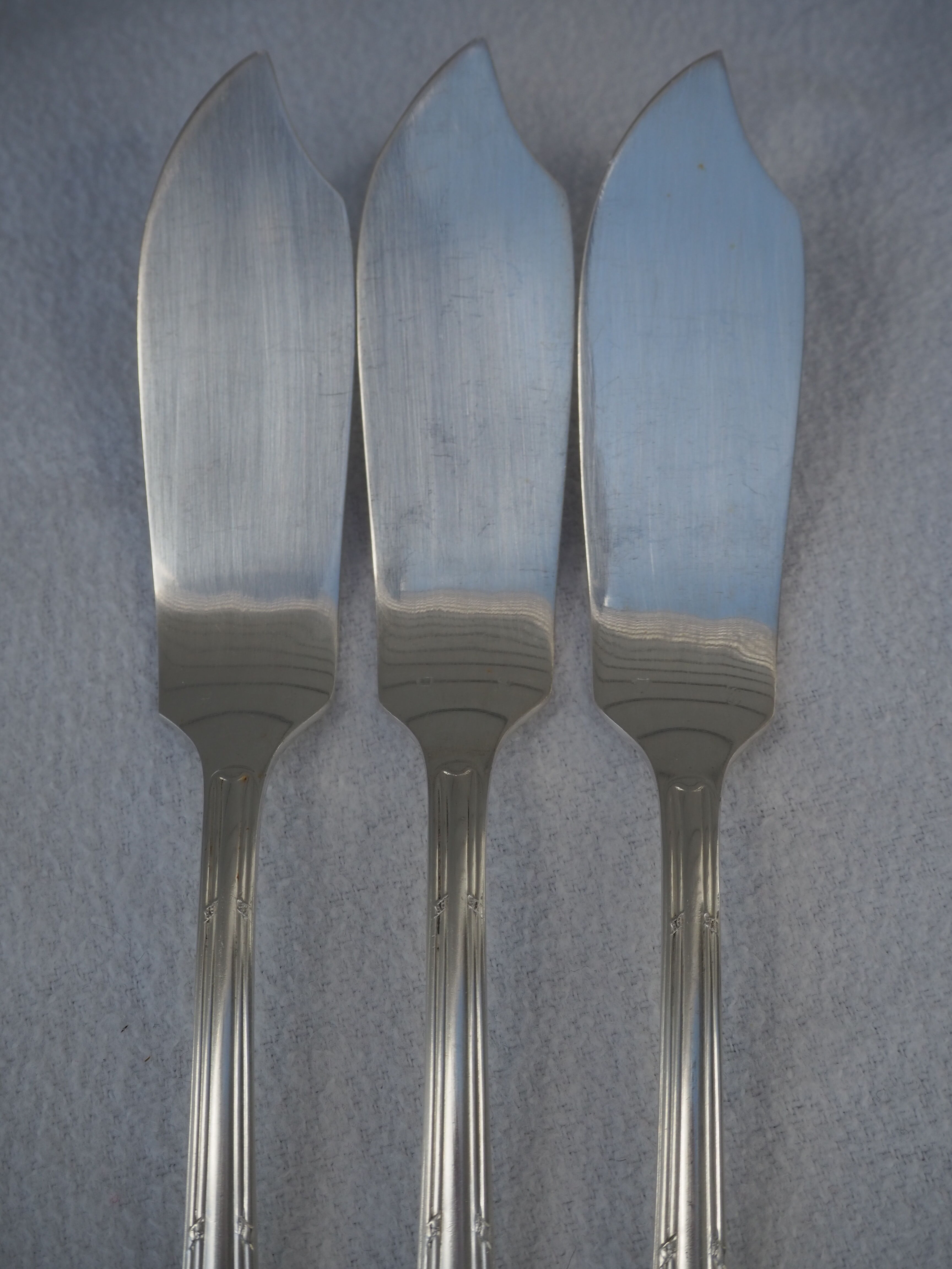 Fish service and its 6 silver-plated cutlery, crossed ribbon model