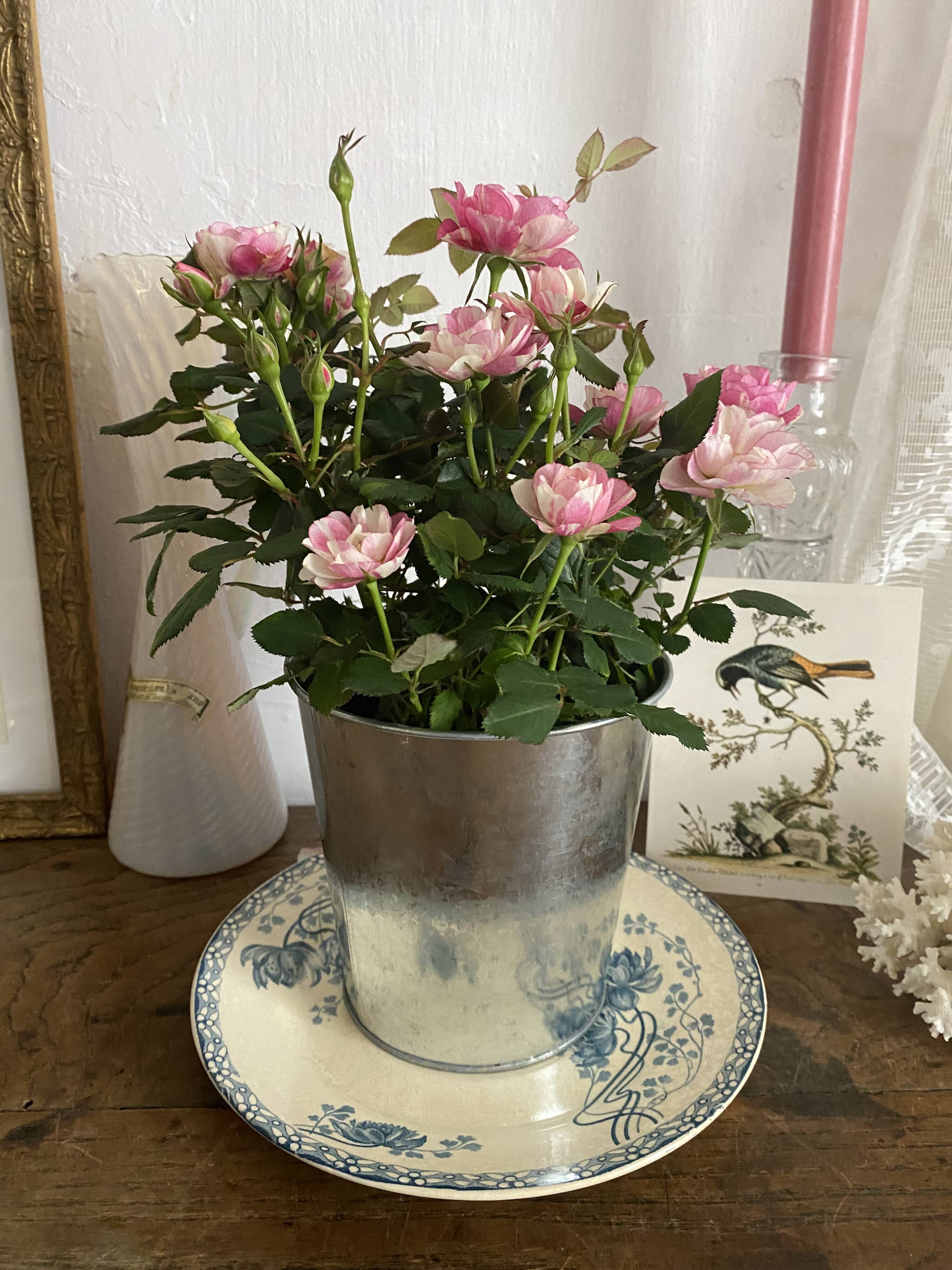 Royat Sarreguemines iron earth plate