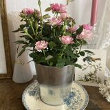 Royat Sarreguemines iron earth plate