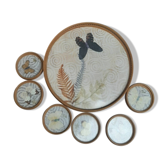Wooden tray and 6 coasters with butterfly decoration