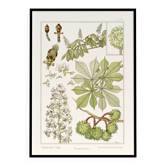 Poster “Chestnut Tree”, after an Art Nouveau lithograph from 1897