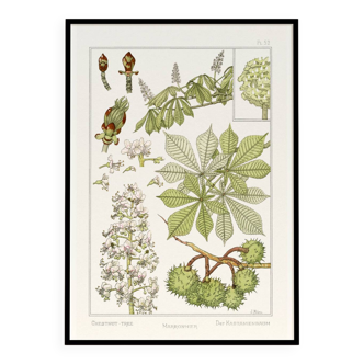 Poster “Chestnut Tree”, after an Art Nouveau lithograph from 1897