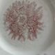 2 anciennes assiettes plates à fleurs rose poinçonner terre de fer hamage st amand "jardinière"