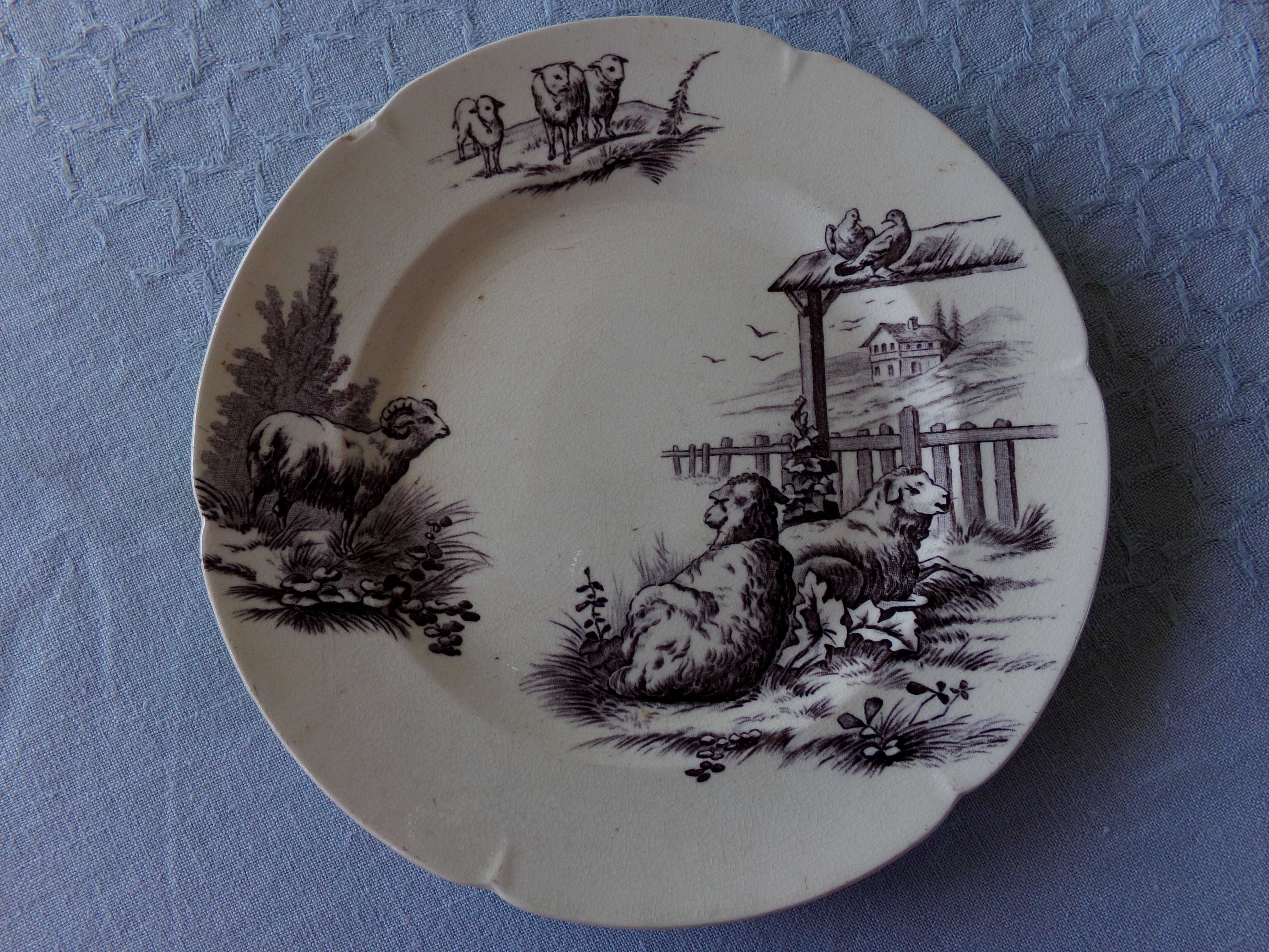Old flat plates in earthenware iron and compotier
