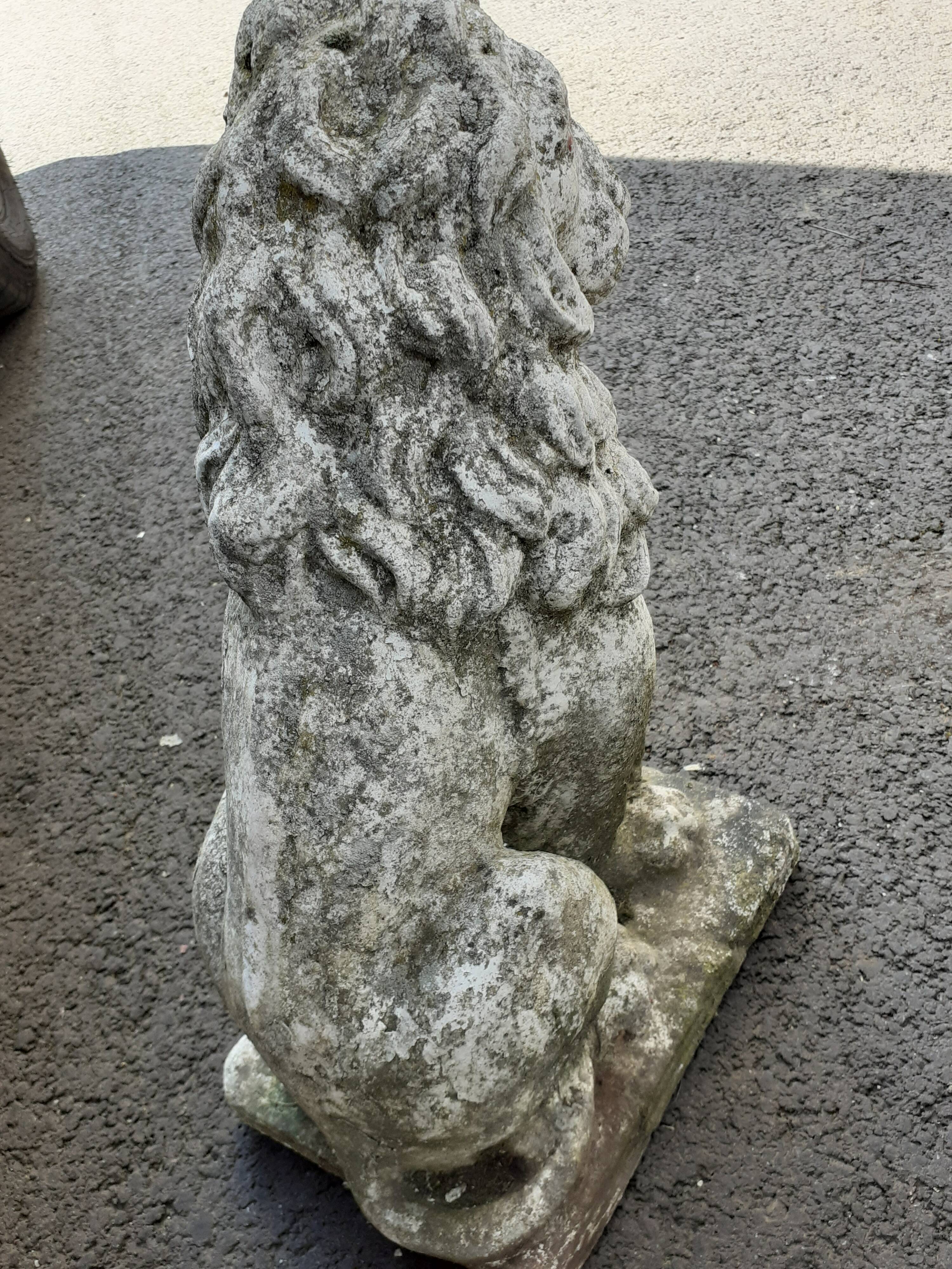 Vintage stone garden lions xxeme