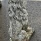 Vintage stone garden lions xxeme