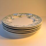 Set of 5 plates Earth iron décor Honeysuckle