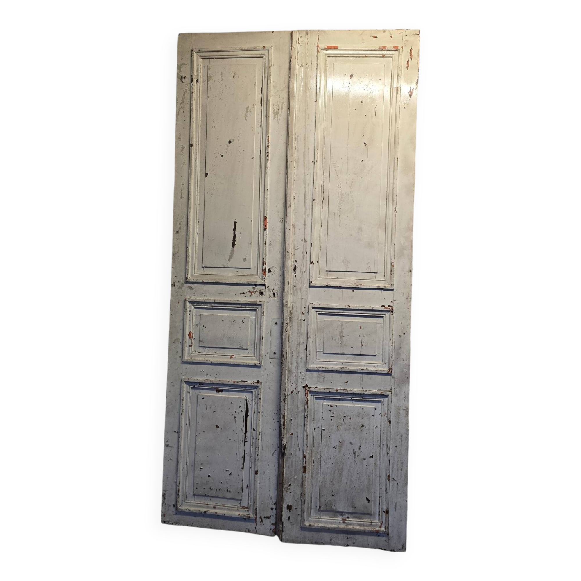 Pair of antique doors