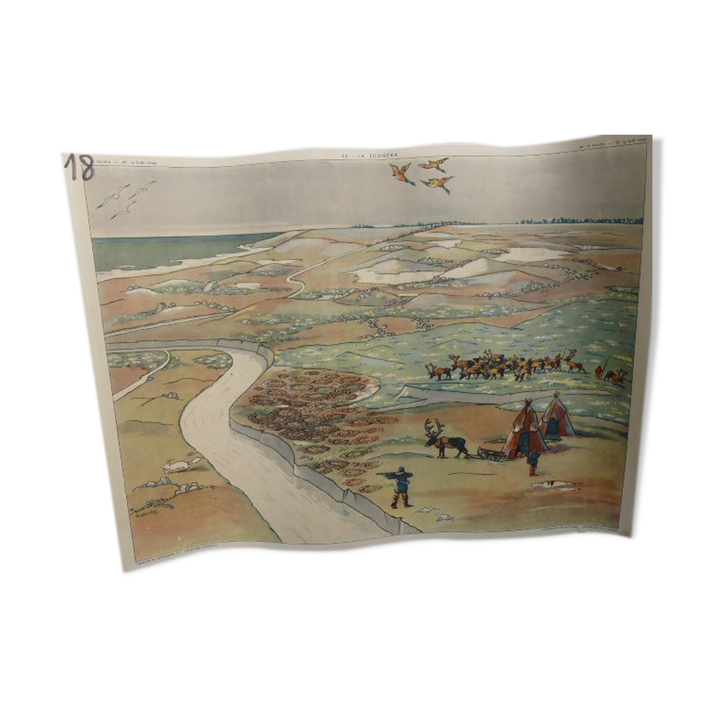 School poster Rossignol collection years 50,N° 45 and 46 the tundra - the virgin forest