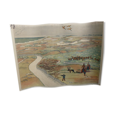 School poster Rossignol collection years 50,N° 45 and 46 the tundra - the virgin forest