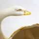 Cache-pot Cygne