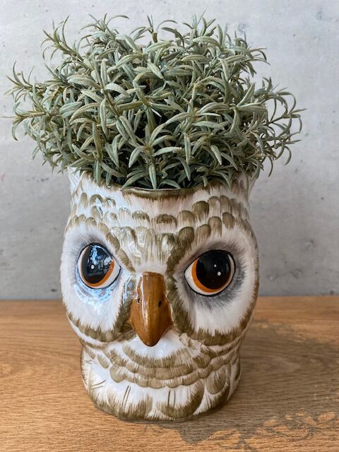 Pitcher slurry owl
