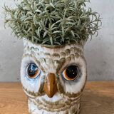 Pitcher slurry owl