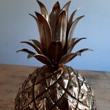 Pineapple Mod Risi by Mauro Manetti