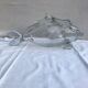 Ancient vase shape fish glass