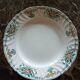 Plat Longwy