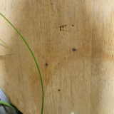 Planche à découper en bois