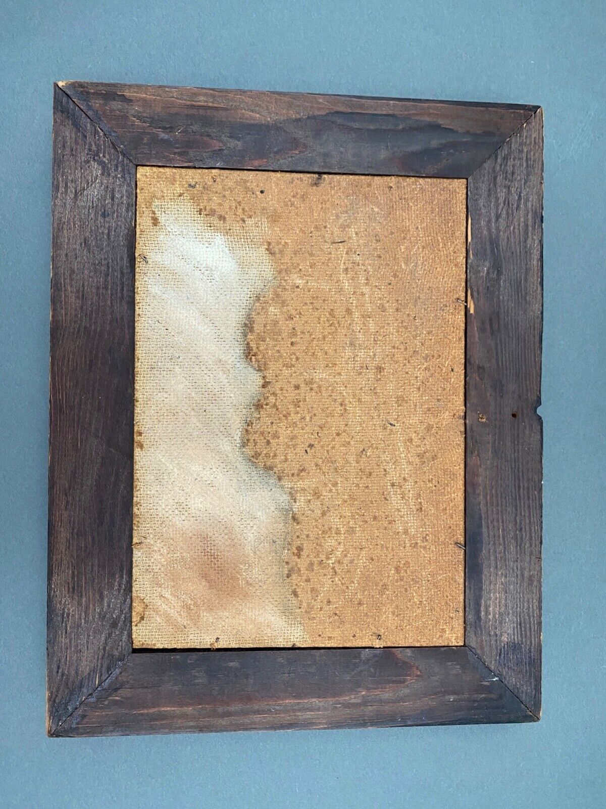Oil on Isorel signed Still Life with Fruits XXth Natural wood frame