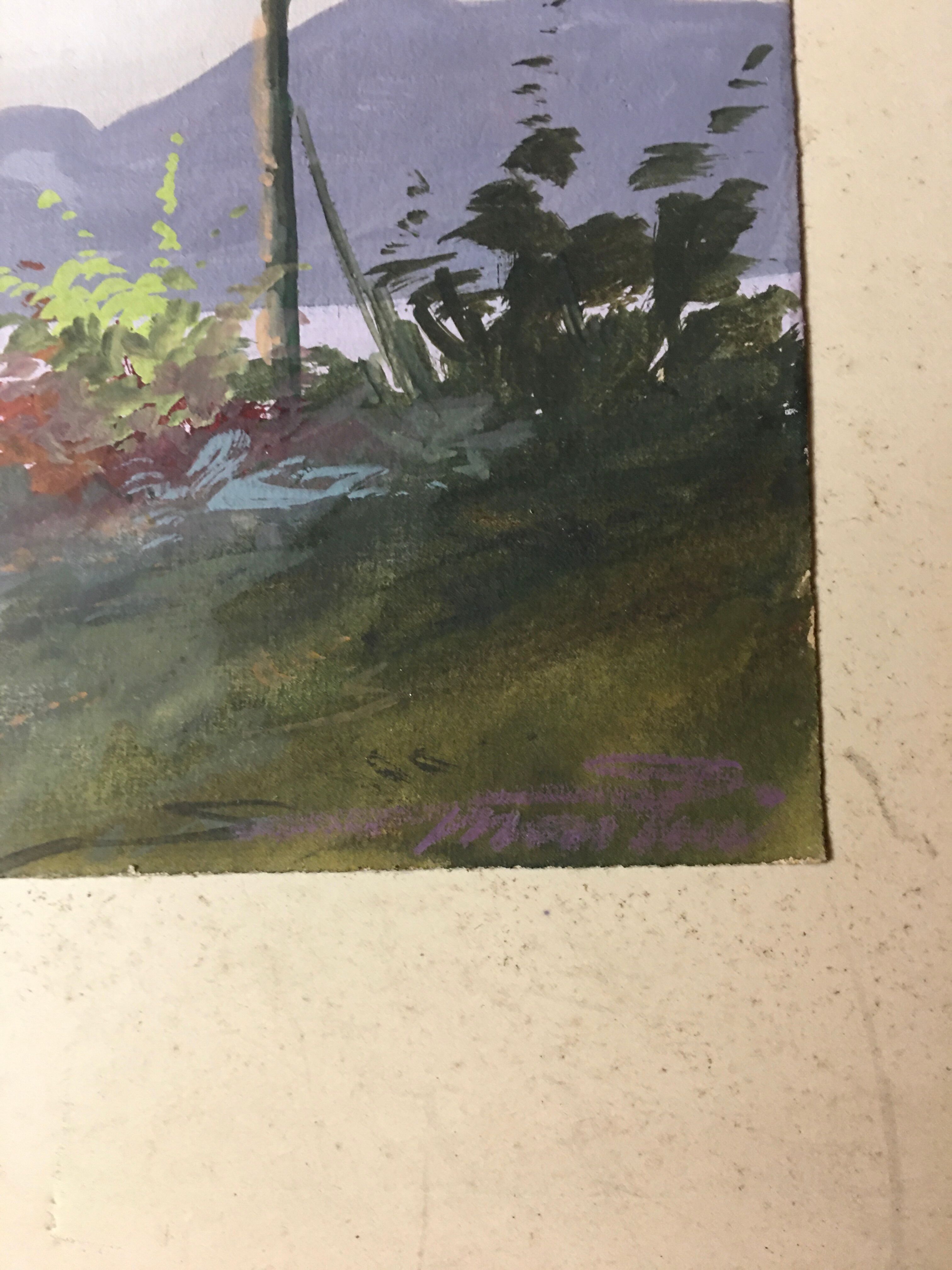 Watercolor landscapes of brazil (20s)
