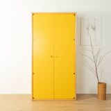 Wardrobe from the Profilsystem collection by Flötotto, 1970s, yellow HPL, beech frame