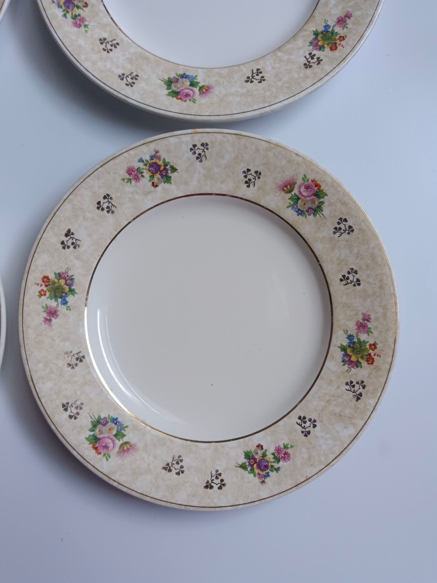 Set of 6 flat plates Salins model Simone beige with flowers.