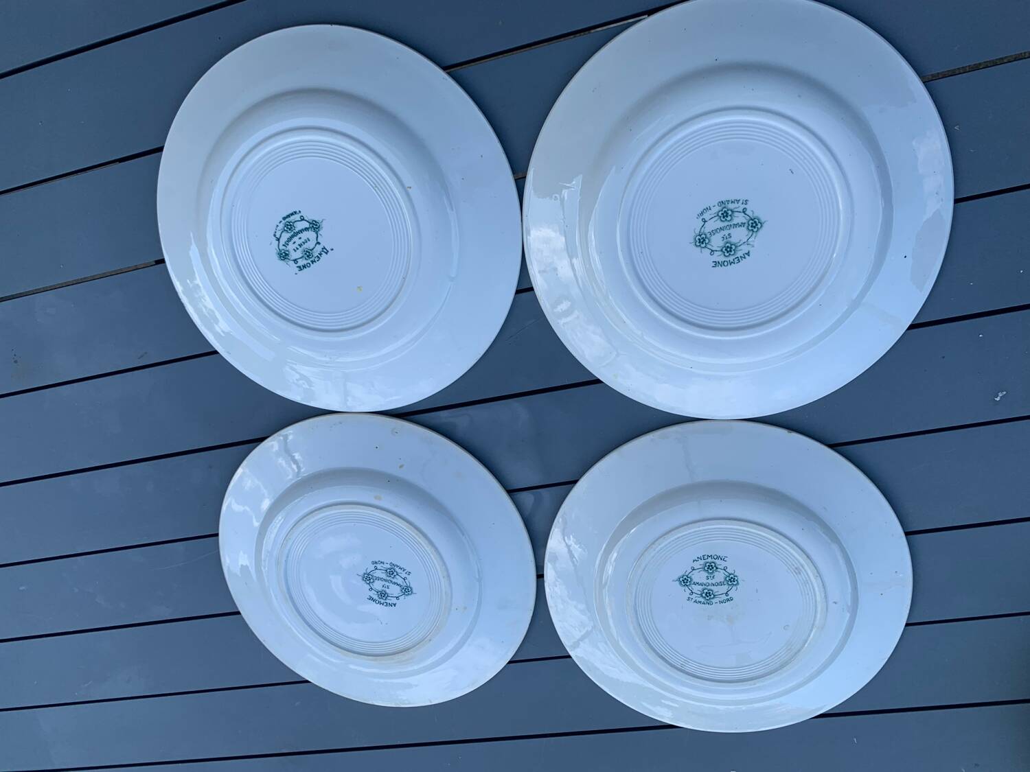 8 St Amand Nord Anémone dinner plates