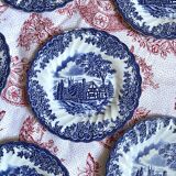 Myott English porcelain plates